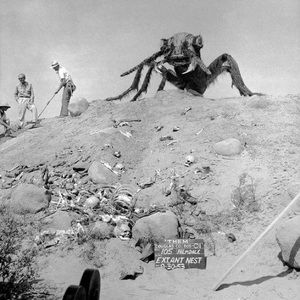 Meet your Posher, Richard